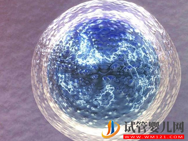 國內禁止單身女性冷凍卵子的原因分享，并不一定是件好事(圖2)