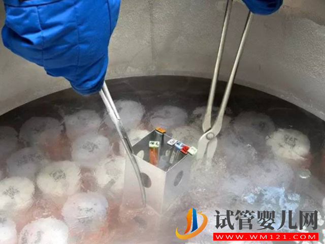 國內單身女性冷凍3個卵子需要多少錢？(圖1)