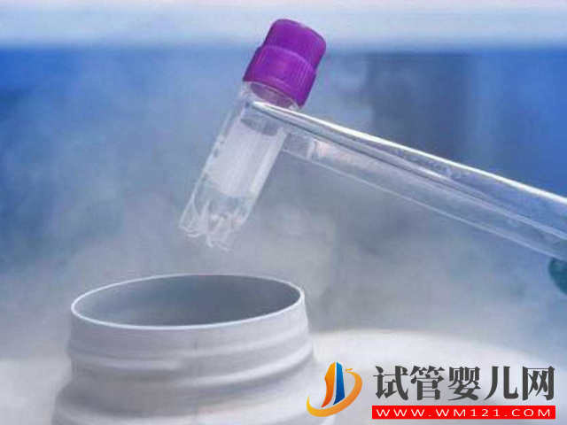 國內單身女性冷凍3個卵子需要多少錢？(圖2)