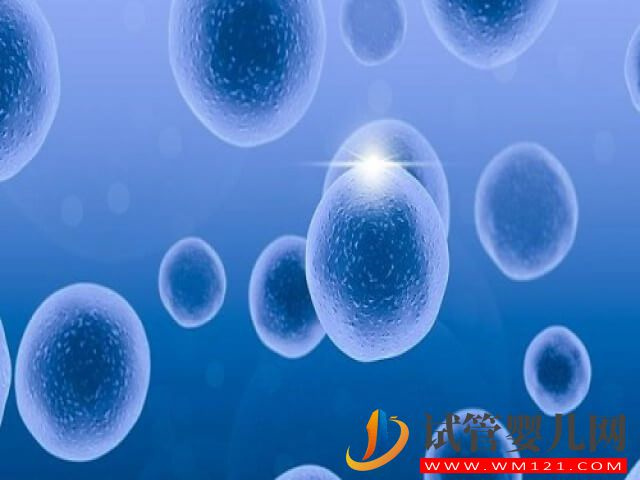 在杭州凍卵第一年的費用是多少？(圖1)