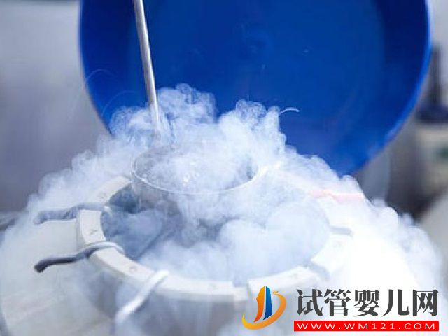 國外有哪些冷凍卵子的正規機構？(圖2)