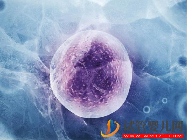 國外有哪些冷凍卵子的正規機構？(圖1)