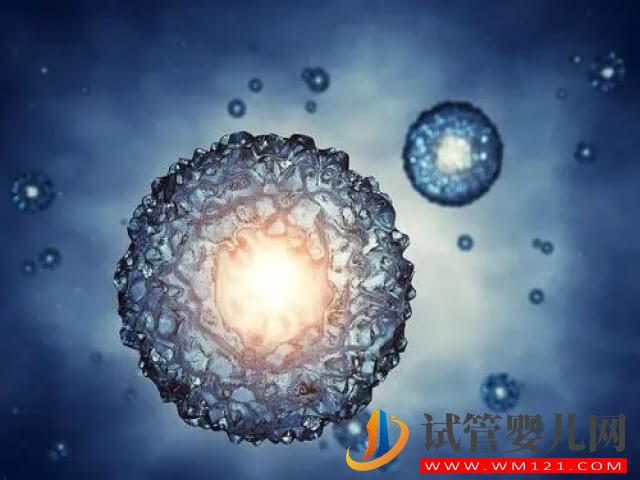 在國內冷凍卵子一年的費用大概是多少？(圖1)