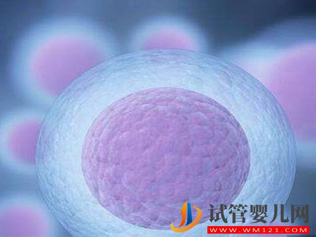 在國內冷凍卵子一年的費用大概是多少？(圖2)