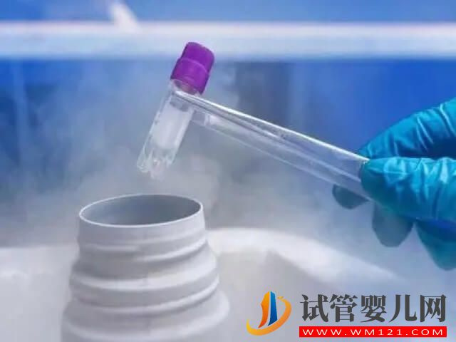 我國衛健委為什么禁止未婚女性凍卵？(圖2)