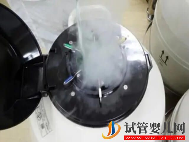 中國(guó)哪里能提供未婚凍卵技術(shù)?(圖1) 中國(guó)哪里能提供未婚凍卵技術(shù)?(圖1)