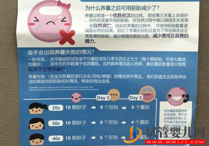 囊胚質量認定很簡單，通過基礎卵泡數量就可判斷(圖1)