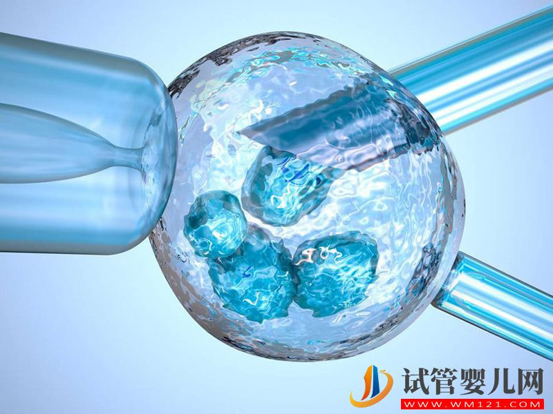 適合短效長方案的人做試管的成功率會更高嗎？(圖1)