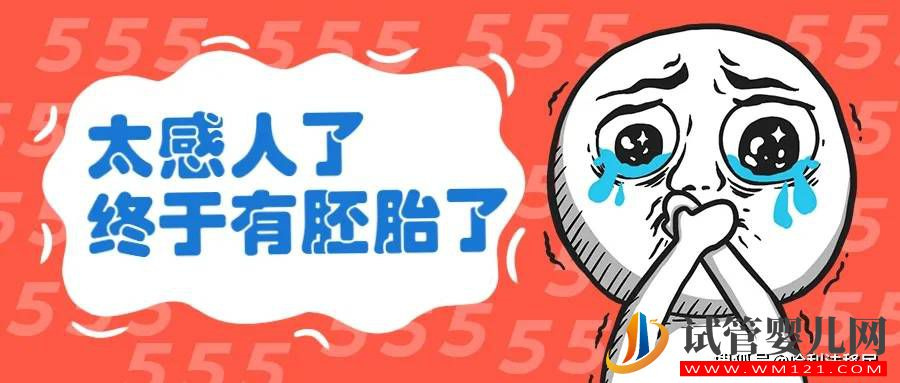 試管嬰兒網(wǎng):試管胚胎不是你想移植就能移,需要滿足這些條件!(圖2) 試管胚胎不是你想移植就能移,需要滿足這些條件!(圖2)