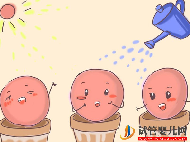 想去俄羅斯做試管，3步微刺激方案流程請查收(圖2)