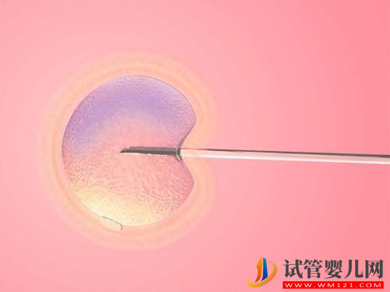 試管短方案這幾種人用最適合，時間短成功率更高！(圖3)