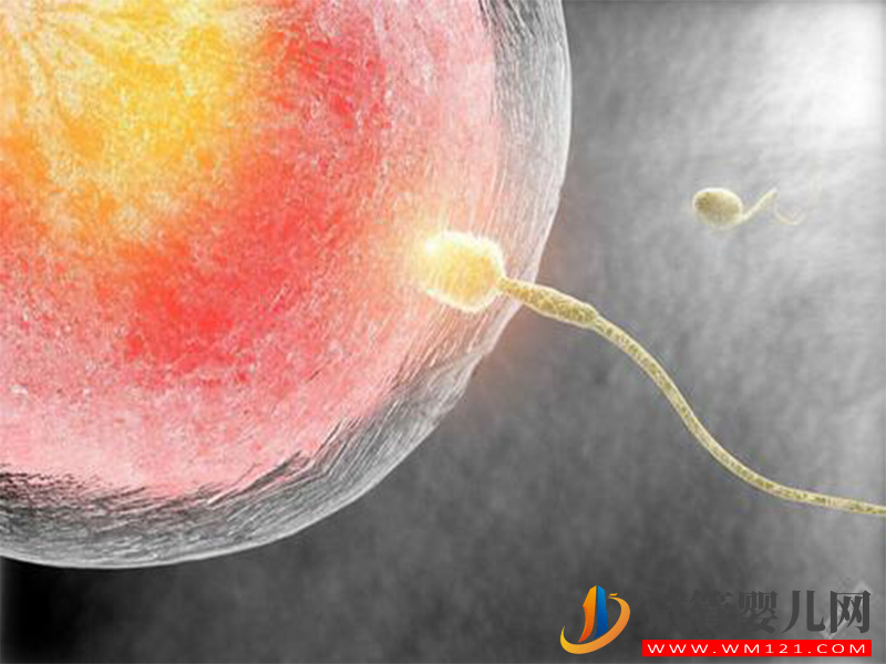 試管短方案促排期間需注意,想要高成功率先做好這些事(圖2) 試管短方案促排期間需注意,想要高成功率先做好這些事(圖2)