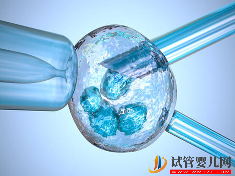 試管短方案取卵一月內(nèi)可以移植鮮胚嗎？(圖1)