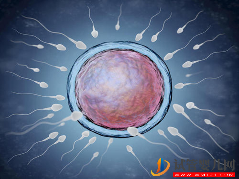 國內黃體期方案不成熟，初選者必須了解的2點弊端(圖3)