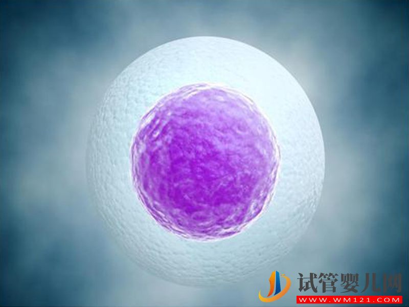 想提高試管自然周期成功率，聽聽最權威的醫生怎么說(圖4)