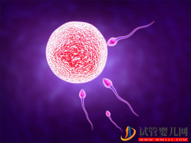 試管自然周期懷雙胎成功率高,高風(fēng)險警告你不能隨意做(圖1) 試管自然周期懷雙胎成功率高,高風(fēng)險警告你不能隨意做(圖1)