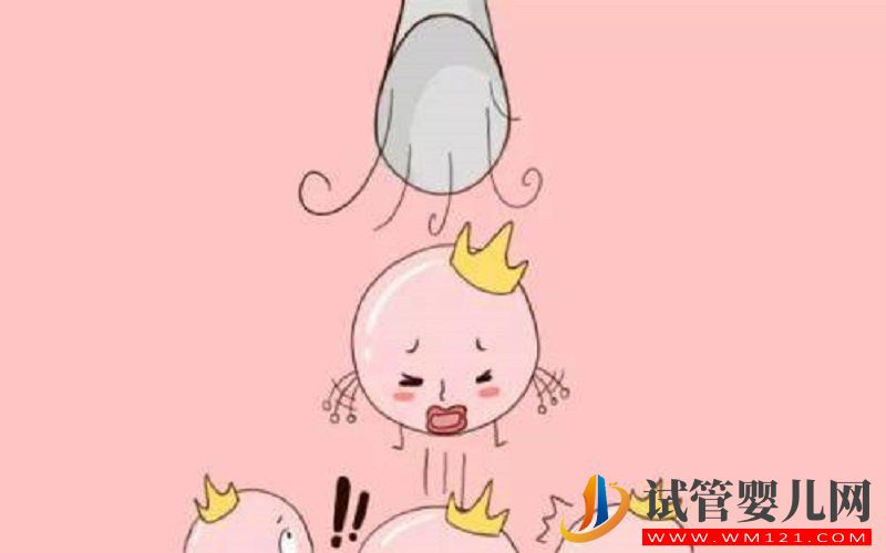 不降調直接促排對卵子好嗎？(圖1)