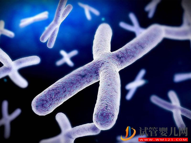 染色體平衡易位危害大，解析它的五大常見誘因(圖1)