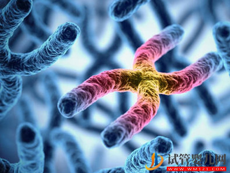 染色體易位做試管的成功率有多大,專家提醒不足50%(圖1) 染色體易位做試管的成功率有多大,專家提醒不足50%(圖1)