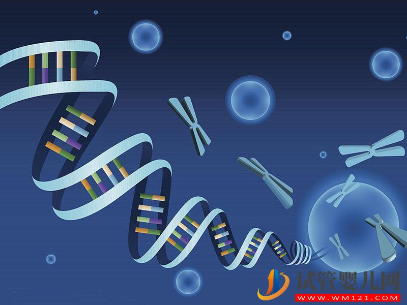 染色體易位做試管的成功率有多大,專家提醒不足50%(圖2) 染色體易位做試管的成功率有多大,專家提醒不足50%(圖2)