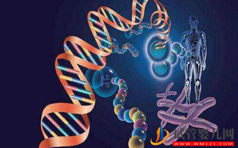 懷孕20周染色體多了x孩子能要嗎?(圖1) 林芝懷孕20周染色體多了x孩子能要嗎?(圖1)