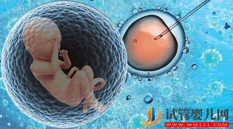 60歲大媽做試管嬰兒7年后才后悔,早知道不生“雙胞胎”了(圖3)