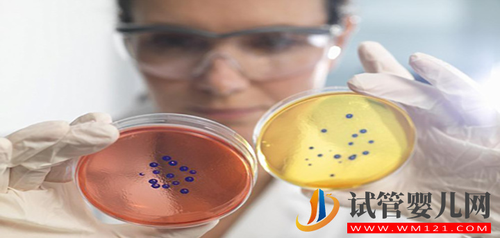 影響柬埔寨試管費(fèi)用的3大因素,提前了解避免破費(fèi)(圖1) 影響柬埔寨試管費(fèi)用的3大因素,提前了解避免破費(fèi)(圖1)