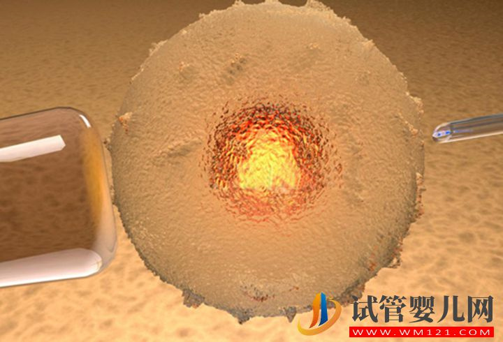 多囊不僅會(huì)導(dǎo)致卵泡不破,月經(jīng)稀疏也是其表現(xiàn)癥狀之一(圖1) 多囊不僅會(huì)導(dǎo)致卵泡不破,月經(jīng)稀疏也是其表現(xiàn)癥狀之一(圖1)