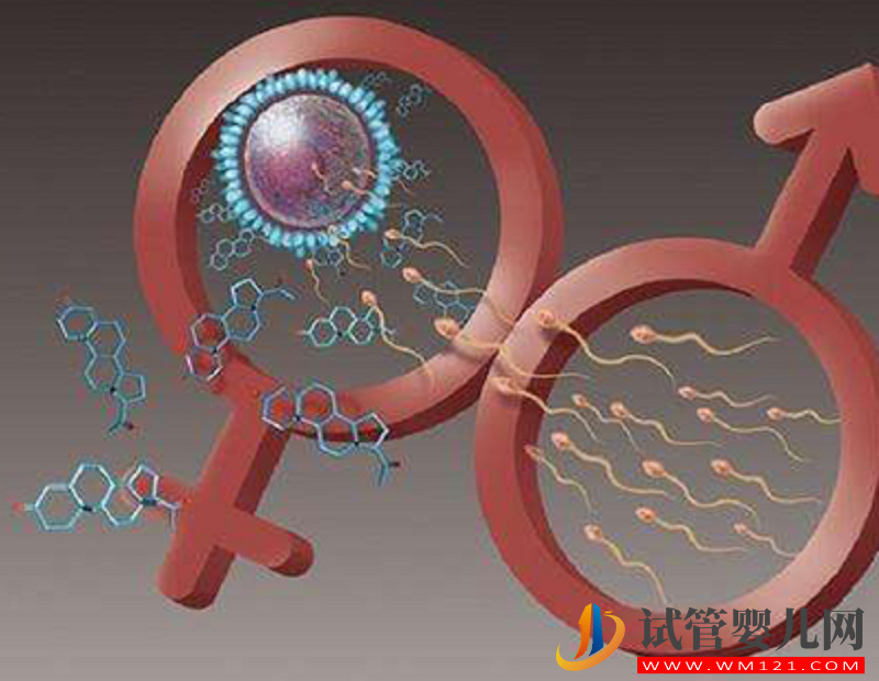 男性試管期吃精氨酸好處真不少，幫你成功助孕(圖2)