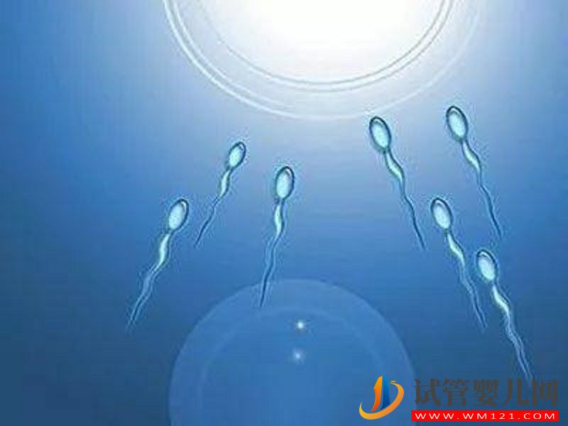 馬爾康二代試管取精全過程，這4種方法告別尷尬(圖1)