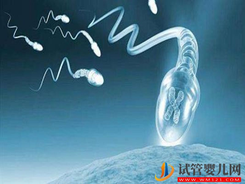 馬爾康二代試管取精全過程，這4種方法告別尷尬(圖2)