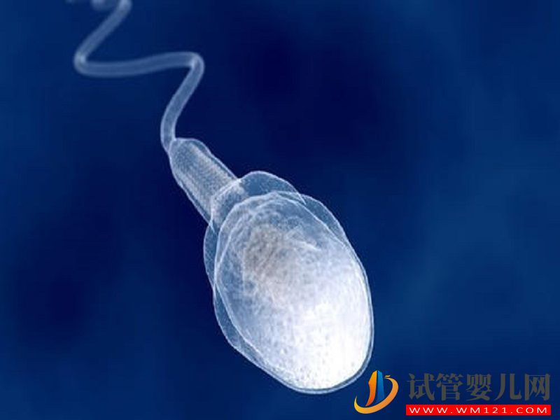 馬爾康二代試管取精全過程，這4種方法告別尷尬(圖4)
