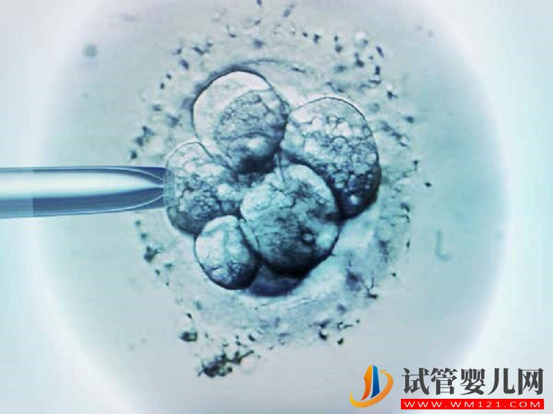 揭秘二代試管全過程，其實就是檢查、進周兩大階段(圖1)