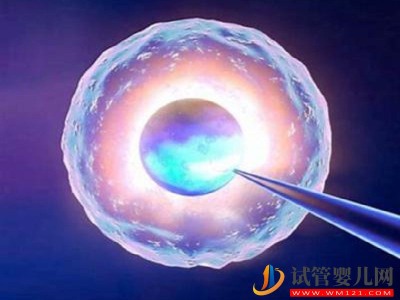 第四代試管主要解決的什么問題？(圖1)