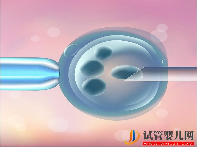 馬爾康第四代試管嬰兒和三代有什么區別？(圖1)