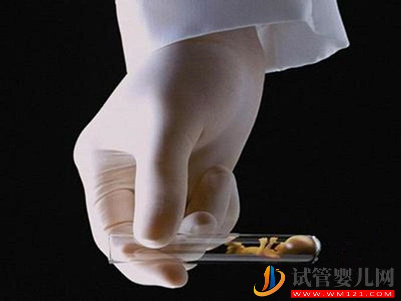 馬爾康第四代試管嬰兒和三代有什么區別？(圖2)