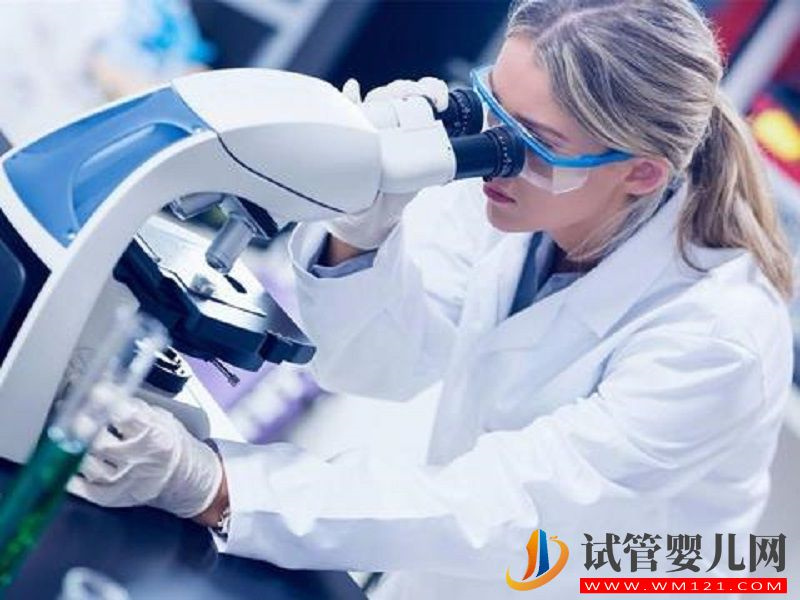 試管嬰兒包成功需要的條件有哪些？(圖3)