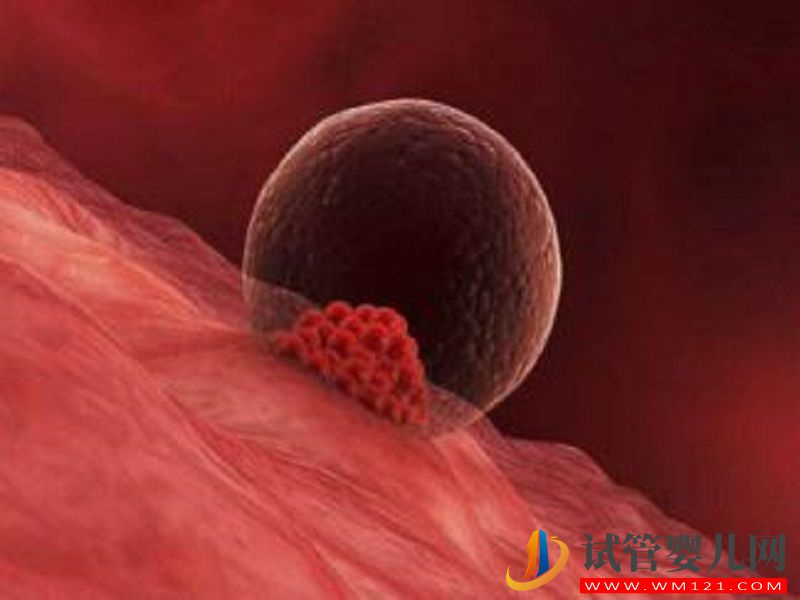 詳解第四代試管的流程，細節操作你好奇不(圖2)