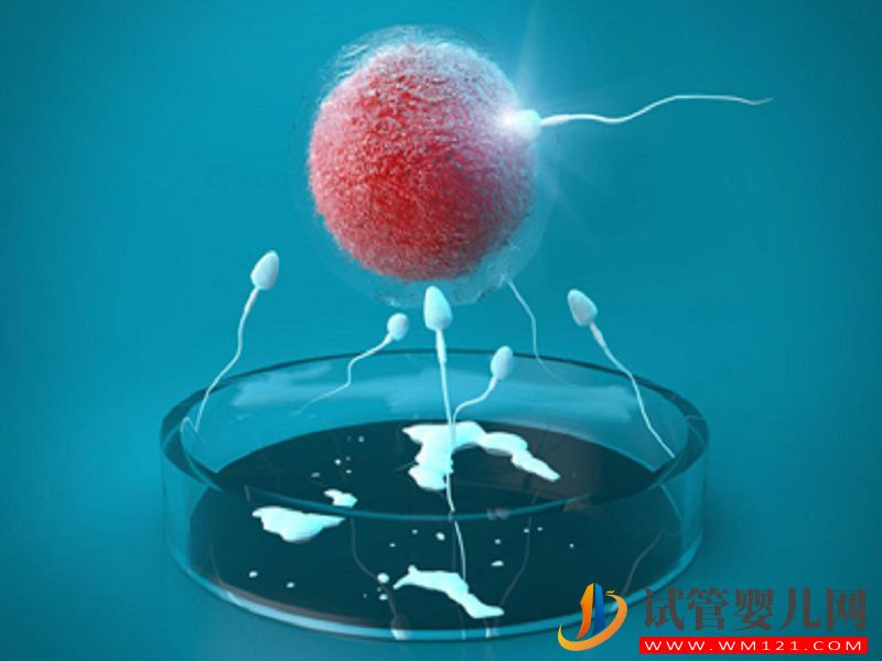 詳解第四代試管的流程，細節操作你好奇不(圖4)