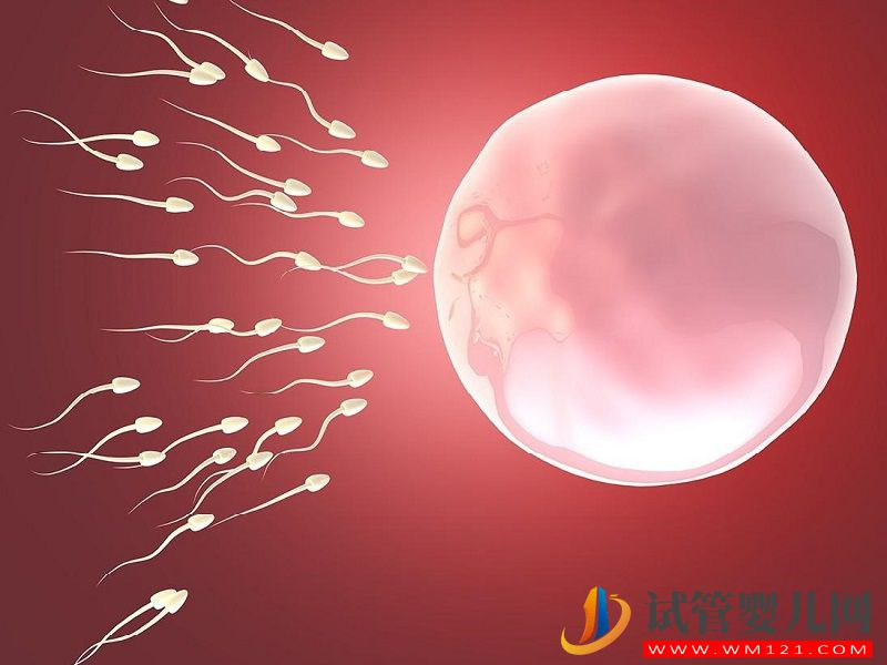 國外第四代試管嬰兒的成功率可以達到多少？(圖2)