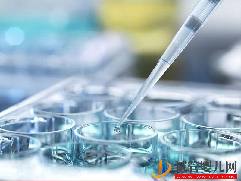 兩個(gè)人男人可以通過試管生孩子嗎?(圖2) 兩個(gè)人男人可以通過試管生孩子嗎?(圖2)