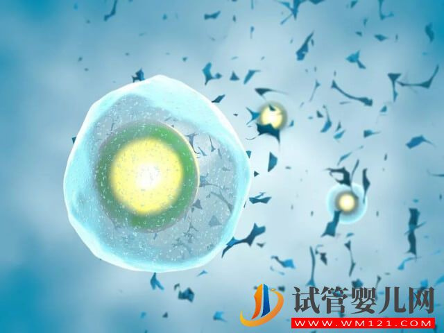 試管嬰兒拮抗劑促排卵方案的優(yōu)缺點(diǎn)各有哪些?(圖1) 試管嬰兒拮抗劑促排卵方案的優(yōu)缺點(diǎn)各有哪些?(圖1)