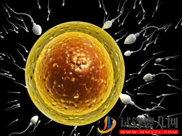 試管嬰兒拮抗劑促排卵方案的優(yōu)缺點(diǎn)各有哪些?(圖2) 試管嬰兒拮抗劑促排卵方案的優(yōu)缺點(diǎn)各有哪些?(圖2)