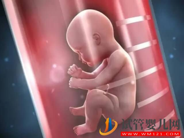 在編女教師做試管嬰兒可以請半年的假嗎？(圖1)