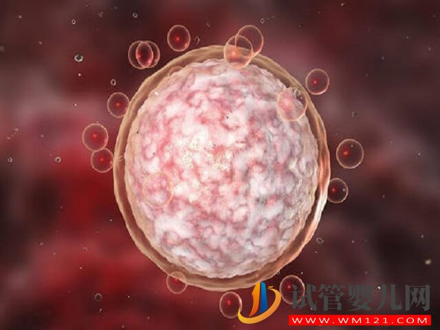 試管取卵14個為什么一個胚胎都沒配成功？(圖1)