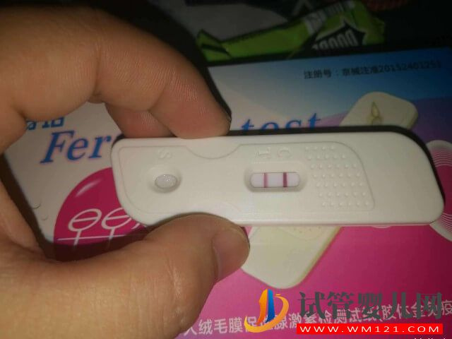 試管移植凍胚后有沒(méi)有人十幾天才測(cè)出雙杠?(圖1) 試管移植凍胚后有沒(méi)有人十幾天才測(cè)出雙杠?(圖1)