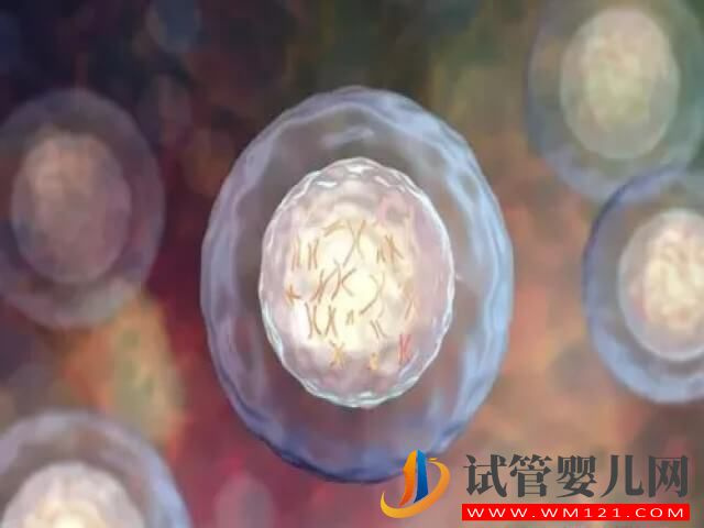 試管促排期間卵泡生長速度快好還是慢好？(圖1)