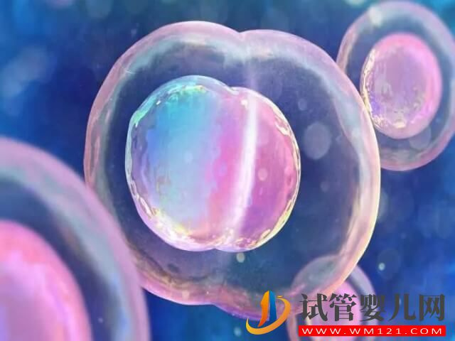 卵泡發育慢做試管嬰兒用什么促排卵方案好？(圖1)