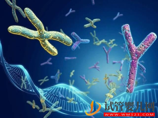 精子dna完整性差一般會影響做試管的成功率嗎？(圖1)