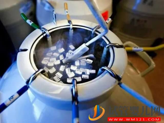 試管嬰兒移植鮮胚和凍胚費用的區(qū)別都哪些?(圖2) 試管嬰兒移植鮮胚和凍胚費用的區(qū)別都哪些?(圖2)